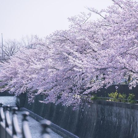 Kamo River J~House Kyoto Buitenkant foto